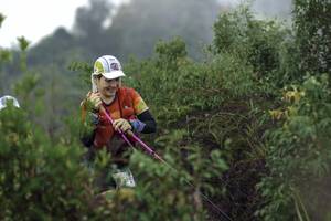 BIB: 
                            <button type="button" onclick="openModal(24759919)" class="btn btn-primary btn-sm float-right btn-popup" data-toggle="modal" data-target=".modal-high-quality">
                        <i class="fas fa-shopping-cart"></i> Add to Cart
                    </button>
                                            <button type="button" onclick="isThisMe(24759919, true)" class="btn btn-success btn-sm float-right btn-popup btn-isme hidden" data-toggle="tooltip" data-placement="bottom" title="นี่คือรูปของคุณใช่ไหม คลิกที่นี่เพื่อเอาเข้าอัลบั้ม">
                        <i class="fas fa-plus"></i> Add to album
                    </button>
                    <button type="button" onclick="isThisMe(24759919, false)" class="btn btn-warning btn-sm float-right btn-popup btn-isnotme hidden">
                        <i class="fas fa-ban"></i> Remove from album
                    </button>